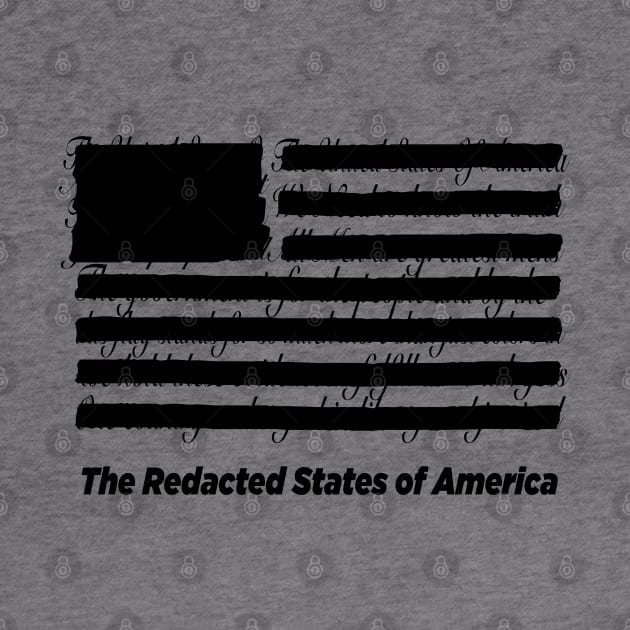 Redacted States of America by Alema Art